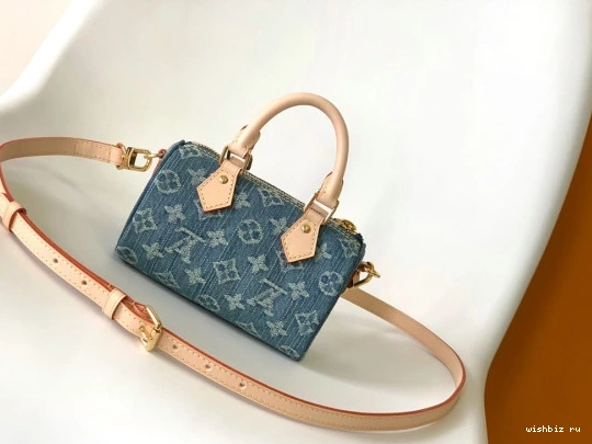 WIS VUITTON LOUIS NANO SPEEDY 0818
